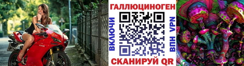 kraken сайт  Будённовск  Галлюциногенные грибы MAGIC MUSHROOMS 