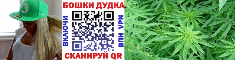 как найти закладки  Будённовск  Бошки марихуана SATIVA & INDICA 